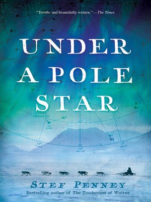 Under a Pole Star - ebook